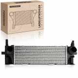 1x Ladeluftkühler Turbokühler für BMW X3 F97 G01 G08 sDrive20i X4 F98 G02 Bj ab 2017