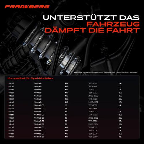 2x Fahrwerksfeder Hinterachse für Opel Vectra B J96 Vectra B CC 38 J96 1995-2002 Bild 2x Fahrwerksfeder Hinterachse für Opel Vectra B J96 Vectra B CC 38 J96 1995-2002