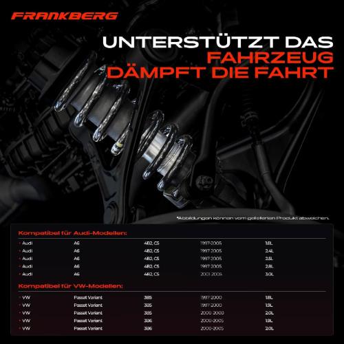 2x Fahrwerksfeder Hinterachse für Audi A6 4B2 C5 VW Passat Variant 3B5 3B6 1997-2005 Bild 2x Fahrwerksfeder Hinterachse für Audi A6 4B2 C5 VW Passat Variant 3B5 3B6 1997-2005