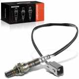 1x Lambdasonde Regelsonde/Diagnosesonde Vor/Nach Katalysator für Lexus GS 300 430 IS 200 LS SC 430