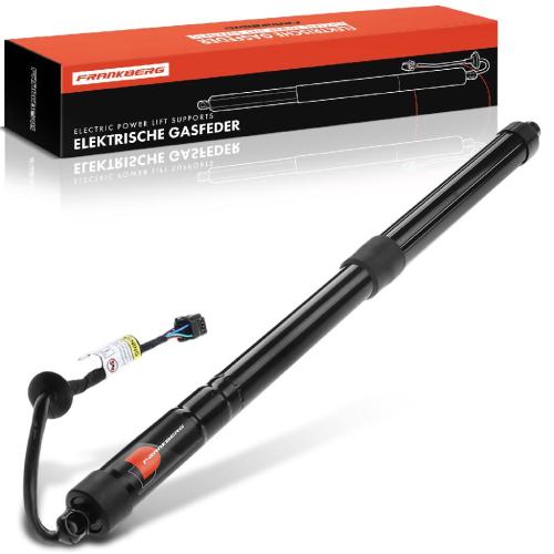 1x Gasfeder Elektrisch Heckklappe Hinten Links für Hyundai Santa Fé III 2012-2019 Bild 1x Gasfeder Elektrisch Heckklappe Hinten Links für Hyundai Santa Fé III 2012-2019