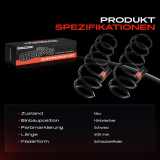 2x Fahrwerksfeder Hinterachse für Renault Laguna III BT0/1 1.5L 1.6L 2.0L 2007-2015