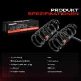 2x Fahrwerksfeder Hinterachse für Ford Mondeo IV BA7 Stufenheck 2007-2015