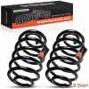 2x Fahrwerksfeder Hinterachse f&uuml;r BMW 3er E30 1.6L 1.8L 2.0L 2.3L 2.4L 2.5L 2.7L 1982-1991