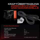 1x Zahnriemensatz Zahnriemen für Nissan Primera P12 Renault Grand Scénic II Laguna II 1.9L