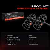2x Fahrwerksfeder Vorderachse für Fiat Palio Weekend 171 173 178 373 374 1.9L 2001-2016