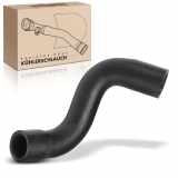 1x Kühlerschlauch Kühlwasserschlauch für BMW F45 F46 218-225 X1 X2 Mini F54 F55 F56 F57 F60