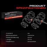 2x Fahrwerksfeder Vorderachse für Ford Transit V363 FAD FBD FCD FDD 2013-2018