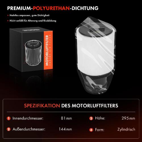 2x Luftfilter Filtereinsatz für Audi R8 422 423 Spyder 427 429 5.2L 2014-2015 Bild 2x Luftfilter Filtereinsatz für Audi R8 422 423 Spyder 427 429 5.2L 2014-2015