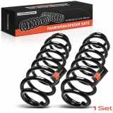 2x Fahrwerksfeder Hinterachse für BMW 5er Touring E39 2.5L 2.9L 3.0L 4.4L 1997-2004