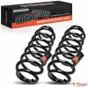 2x Fahrwerksfeder Hinterachse f&uuml;r BMW 5er Touring E39 2.5L 2.9L 3.0L 4.4L 1997-2004
