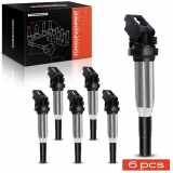Frankberg 6x Zündmodul Zündspule für BMW E81 E87 F20 F21 E88 E82 F23 F22 F87 F34 E46 E90 F30 F80 E93 E92 E91 F31