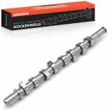 1x Nockenwelle für Dacia Logan Nissan Micra Renault Clio II Kangoo Megane Scénic II