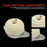 2x Motorlager Vorne Links für Mercedes-Benz GLK-Klasse X204 3.5L 3.0L