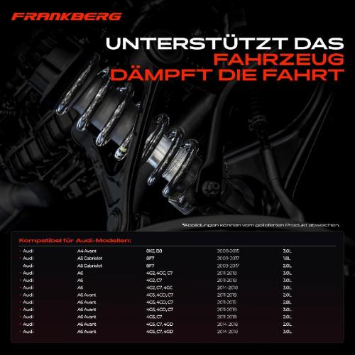 Frankberg 2x Fahrwerksfeder Hinterachse für Audi A4 8K5 B8 A5 8F7 A6 4G2 4GC C7 2008-2018 Bild Frankberg 2x Fahrwerksfeder Hinterachse für Audi A4 8K5 B8 A5 8F7 A6 4G2 4GC C7 2008-2018