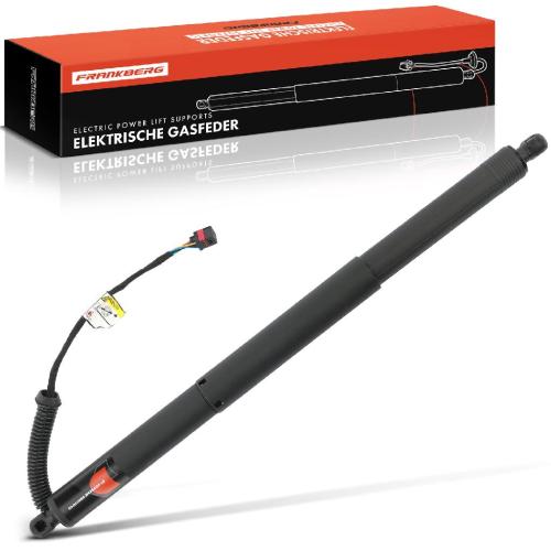 1x Gasfeder Elektrisch Heckklappe Hinten Links für VW T-ROC A11 1.0L 1.5L 1.6L 2.0L 2017-2023 Bild 1x Gasfeder Elektrisch Heckklappe Hinten Links für VW T-ROC A11 1.0L 1.5L 1.6L 2.0L 2017-2023