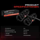 2x Fahrwerksfeder Hinterachse für Toyota Celica T23 1.8L 1999-2005