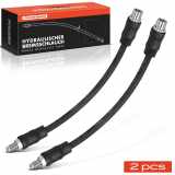 Frankberg 2x Bremsschlauch Bremsschläuche Hinterachse Links oder Rechts für Audi R8 Spyder 4S3 4SP 4S9 4SR 422 423 5.2L