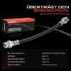 Frankberg 1x Bremsschlauch Bremsschläuche Hinterachse Links oder Rechts für Mitsubishi Colt V Lancer V VI PROTON Persona 300 400 Bild Frankberg 1x Bremsschlauch Bremsschläuche Hinterachse Links oder Rechts für Mitsubishi Colt V Lancer V VI PROTON Persona 300 400
