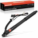 Frankberg 1x Gasfeder Elektrisch Heckklappe Hinten Rechts für BMW X5 E70 SUV 2007-2013