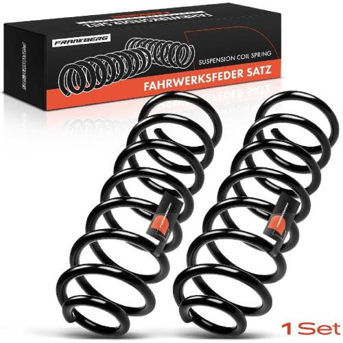 Frankberg 2x Fahrwerksfeder Hinterachse für Renault Megane 2 BM0/1 CM0/1 LM0/1 2002-2009 Bild Frankberg 2x Fahrwerksfeder Hinterachse für Renault Megane 2 BM0/1 CM0/1 LM0/1 2002-2009