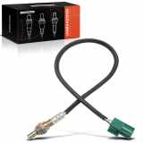 1x Lambdasonde Regelsonde Vor Katalysator für Nissan Almera II N16 Primera P12 Micra III K12