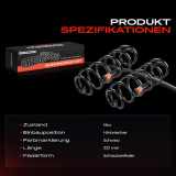 2x Fahrwerksfeder Hinterachse für Peugeot 208 I CA CC 1.6L Bj ab 2012