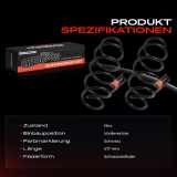 2x Fahrwerksfeder Vorderachse für Mercedes-Benz B-Klasse W245 2.0L 2005-2011