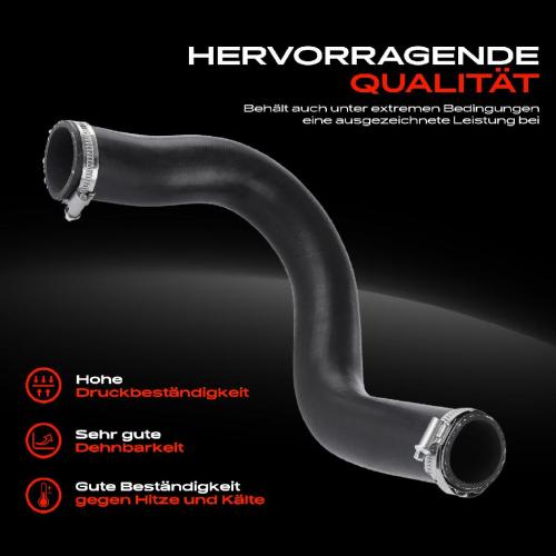 Frankberg 1x Kühlerschlauch Turboschlauch für Nissan X-Trail T31 X-Trail Van Renault Koleos I HY 2.0L 2.5L Bj ab 2007 Bild Frankberg 1x Kühlerschlauch Turboschlauch für Nissan X-Trail T31 X-Trail Van Renault Koleos I HY 2.0L 2.5L Bj ab 2007