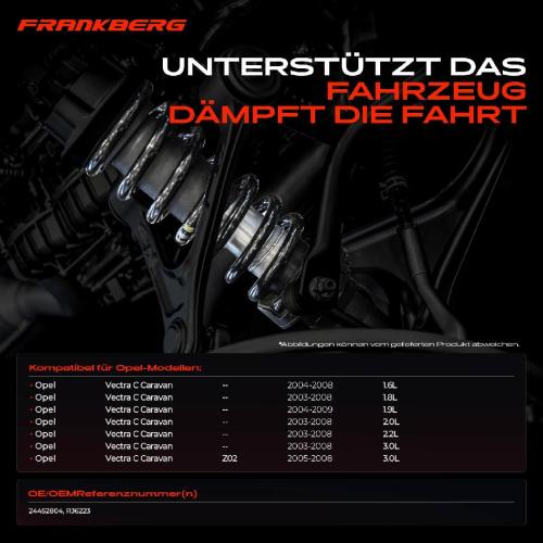 Frankberg 2x Fahrwerksfeder Hinterachse für Opel Vectra C Caravan Z02 2003-2009 Bild Frankberg 2x Fahrwerksfeder Hinterachse für Opel Vectra C Caravan Z02 2003-2009