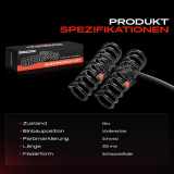 2x Fahrwerksfeder Vorderachse für Nissan Micra II K11 1.0L 1.3L 1.4L 1992-2003