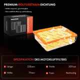 2x Luftfilter Filtereinsatz für Fiat Talento Kasten Nissan NV300 Opel Vivaro B Kasten