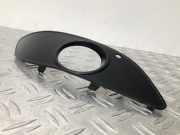 Blende Nebelscheinwerfer rechts MERCEDES B-Klasse Sports Tourer W245 A1698850422