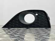 Lüftungsgitter für Stoßfänger Blende Nebels. SEAT Ibiza IV (6J) 6J0853665A