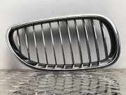 Kühlergrill Niere rechts vorne BMW 5er E60 520i 51 13 7 027 062