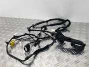 Türkabelbaum Kabelbaum Tür vorne rechts HYUNDAI i20 GB 91640C8700 91641C8670