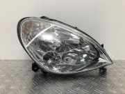Hauptfernscheinwerfer Scheinwerfer rechts vorne CITROEN Xsara N1 6206J7