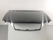 Motorhaube MERCEDES-BENZ S-Klasse CL Coupe (C215) A 215 880 01 57