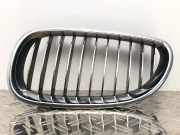 Kühlergrill Niere vorne links BMW 5er E60 520i 51 13 7 027 061