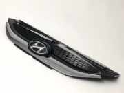 Kühlergrill HYUNDAI iX35 (LM) 86351 2Y000