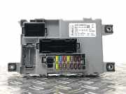 Sicherungskasten Schmelzsicherung Trägerplatte Steuergerät FORD Ka RU8 1924079