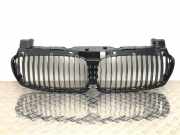 Kühlergrill Frontgrill BMW 7er E65, E66, E67 51 13 7 145 738