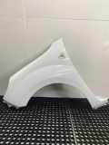 Kotflügel Seitenwand links vorne Weiß RENAULT Kangoo Rapid FWO 631011587R