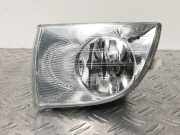 Nebelscheinwerfer links SKODA Fabia II Kombi 545 5J0941701