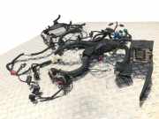 Kabel Motor FORD Fiesta V ST150 N4JB (JH, JD) 1311049