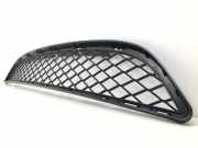 Lüftungsgitter Stoßstange vorne mitte unten BMW X6 E71 7176282