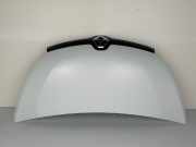 Motorhaube RENAULT Trafic III Kasten (FG) 651006346R