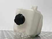 Behälter Kühlwasser HYUNDAI iX35 (LM) 25430 2S050