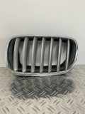 Ziergitter Grill Kühlergrill Niere Fronthaubengrill links BMW X5 E70 7 185 223
