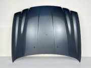 Motorhaube JAGUAR X-Type (X400) C2S39487